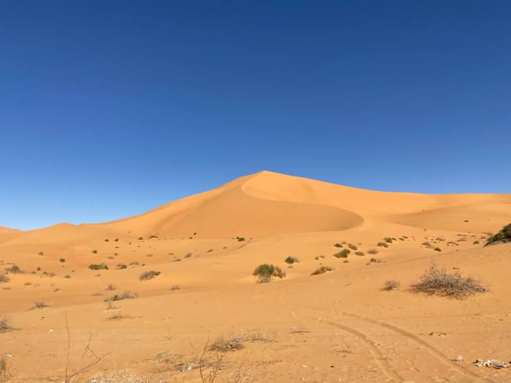 Discover Ghardaia - Beni Abbes - by Analygital.com 3675c94a