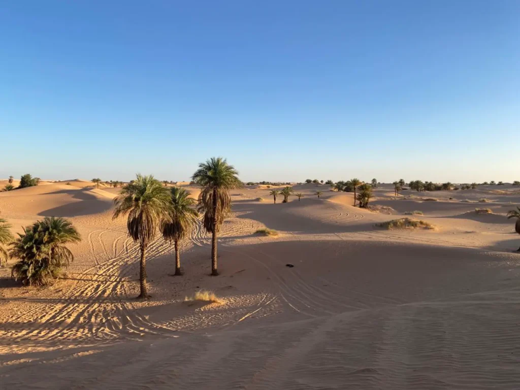 Discover Ghardaia - El Golea - by Analygital.com fb2b9d42