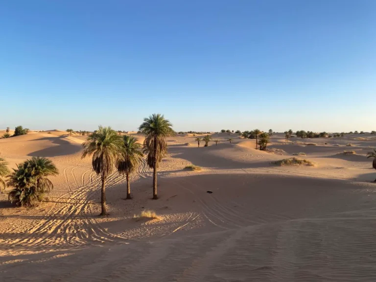 Discover Ghardaia - El Golea - by Analygital.com fb2b9d42