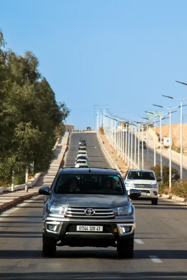 Discover Ghardaia - Ghardaia Mansora - by Analygital.com 06a844ab