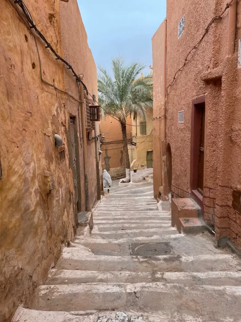 Discover Ghardaia - Ghardaia - by Analygital.com 6b0be785