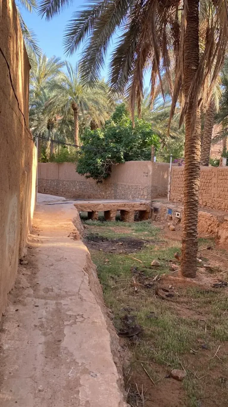 Discover Ghardaia - Ghardaia - by Analygital.com ec49d140