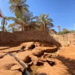 Discover Ghardaia TIMIMOUN by Analygital.com 009c5d92 - Discover Ghardaia (by Analygital.com)