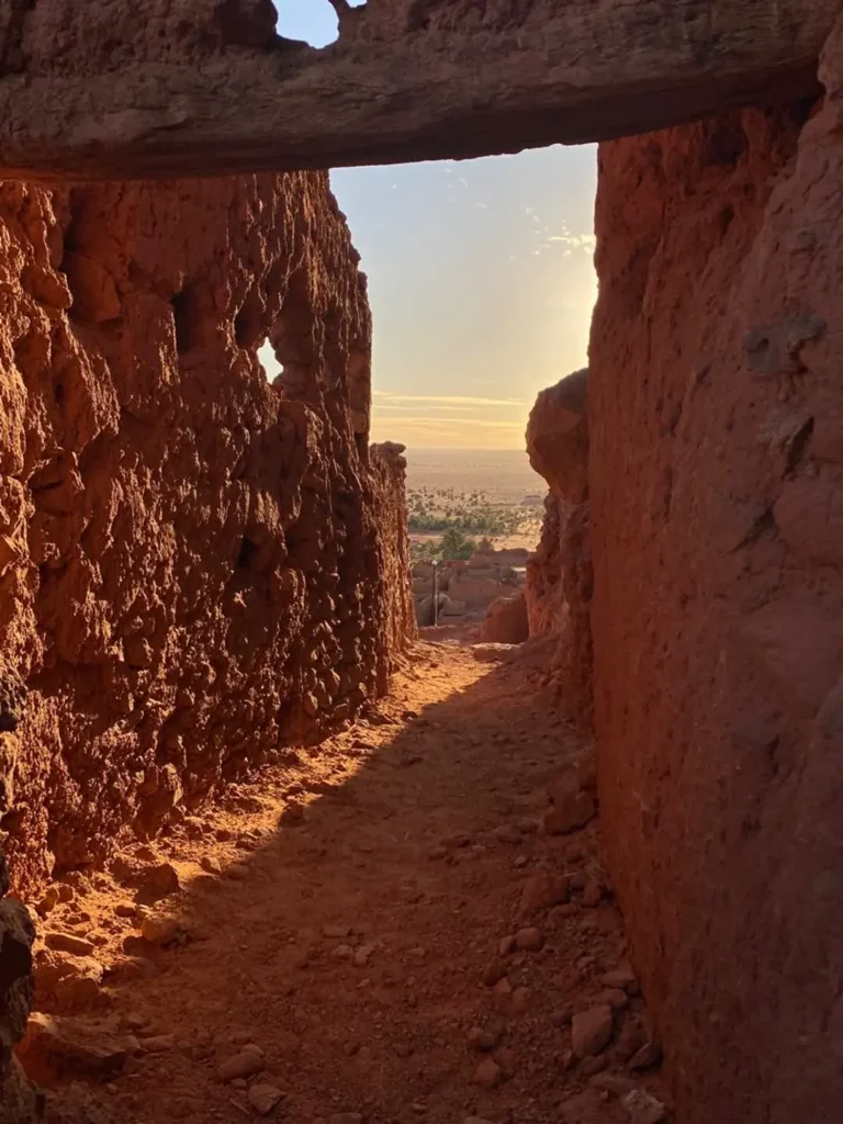 Discover Ghardaia - TIMIMOUN - by Analygital.com 0a0eae1f