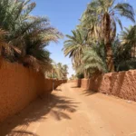 Discover Ghardaia TIMIMOUN by Analygital.com d93930b3 - Discover Ghardaia (by Analygital.com)