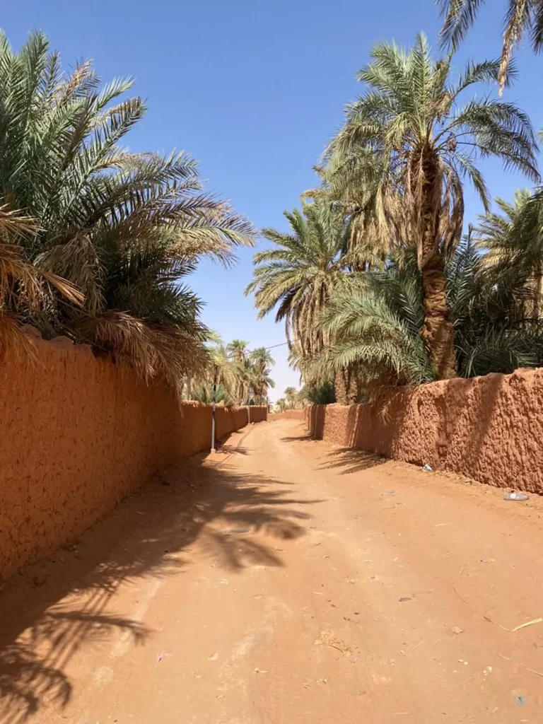Discover Ghardaia - TIMIMOUN - by Analygital.com d93930b3