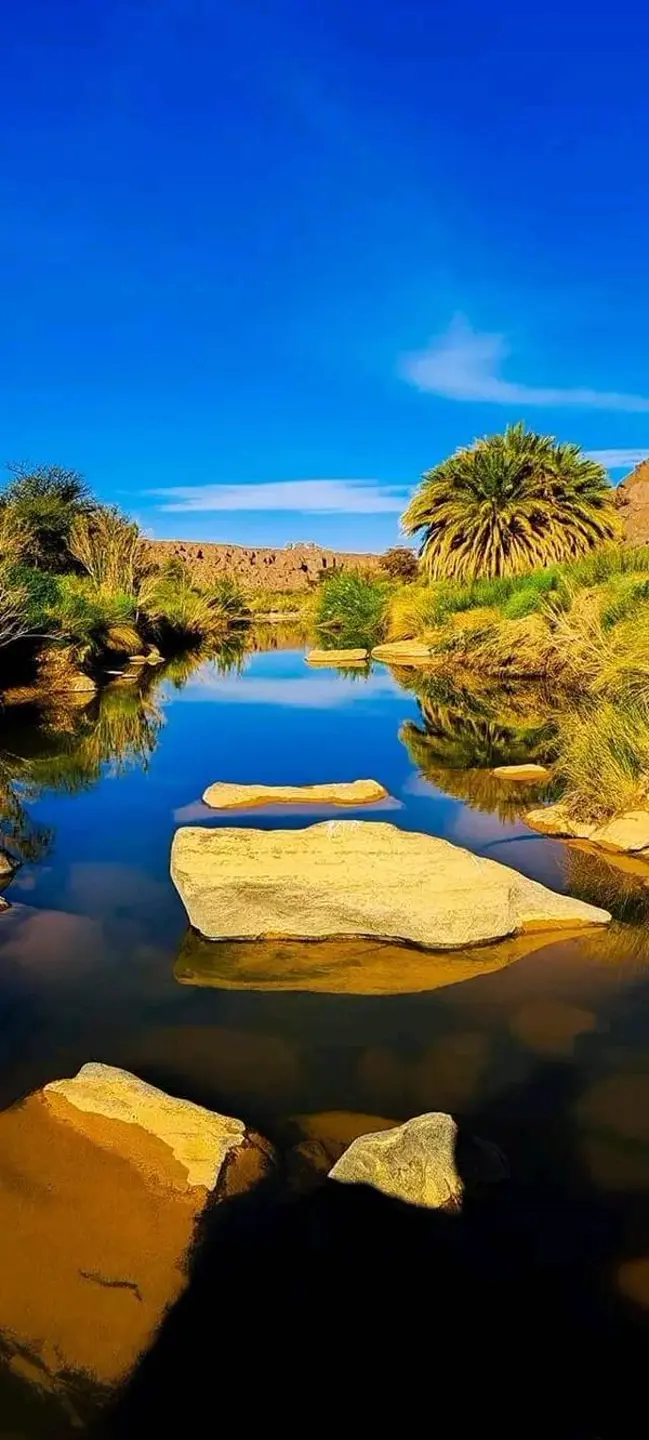 Discover Ghardaia - Djanet - Iherir - by Analygital.com 09c4e732