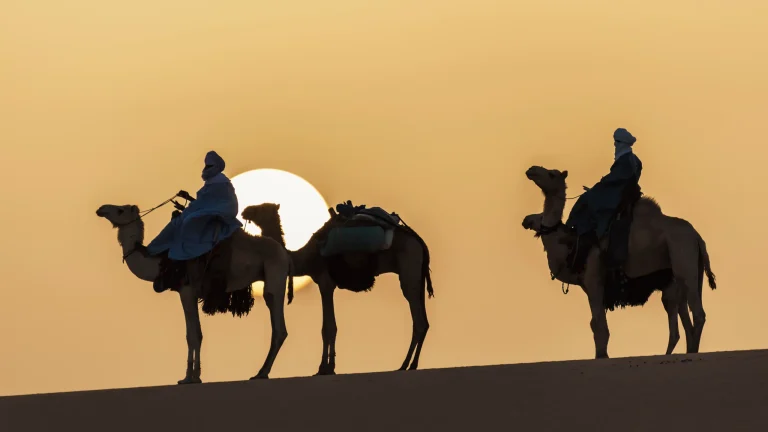 Discover Ghardaia - Djanet - Tassili n’Ajjer - by Analygital.com 26623f12
