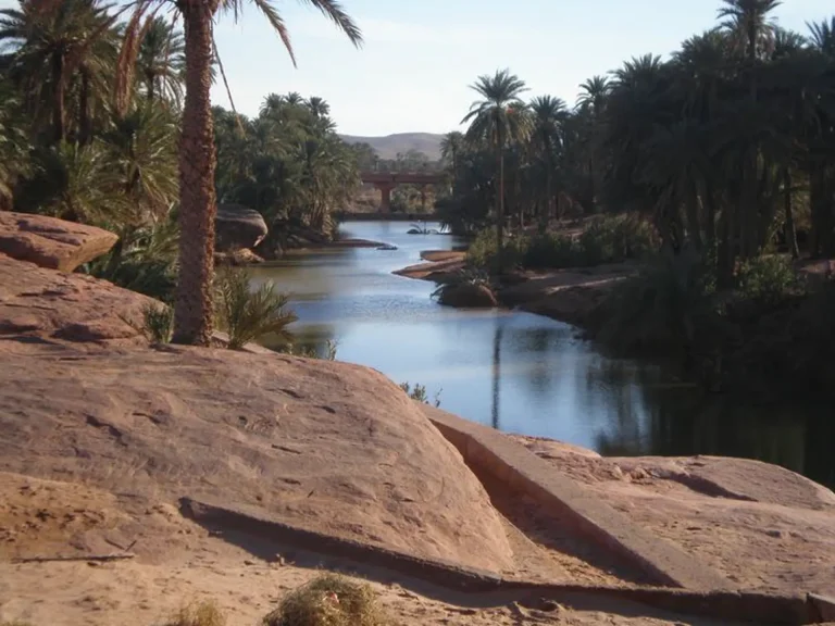 Discover Ghardaia - Naama - Ain Sefra - by Analygital.com 05b6c5f4