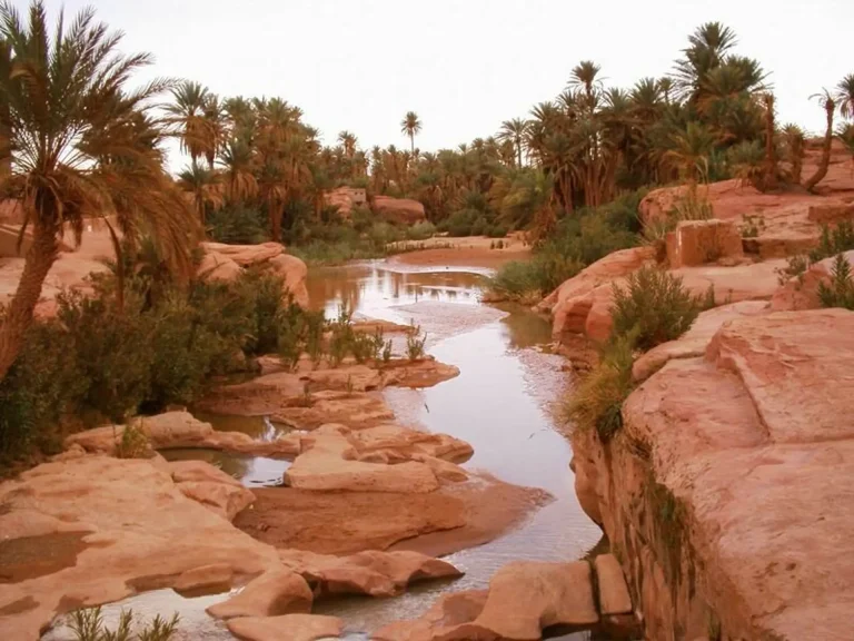 Discover Ghardaia - Naama - Ain Sefra - by Analygital.com 41b5291b