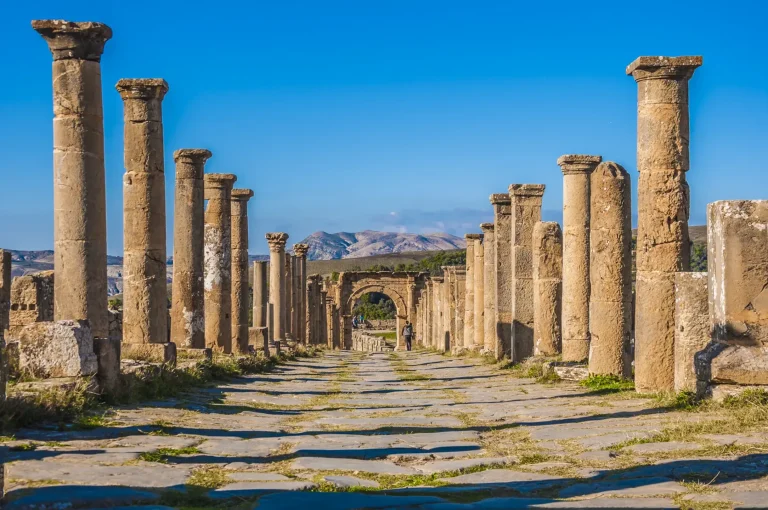Discover Ghardaia - Setif - by Analygital.com 5cd62bae
