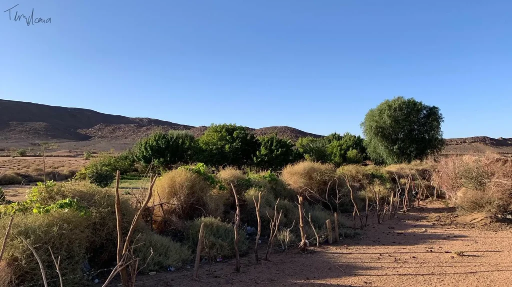 Discover Ghardaia - Tamanrasset - Afilal - by Analygital.com 02c859c4